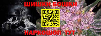 СК Обь