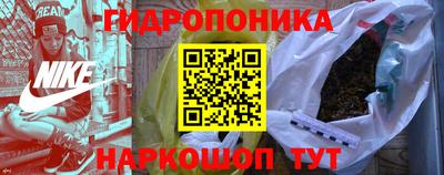 spice Обнинск