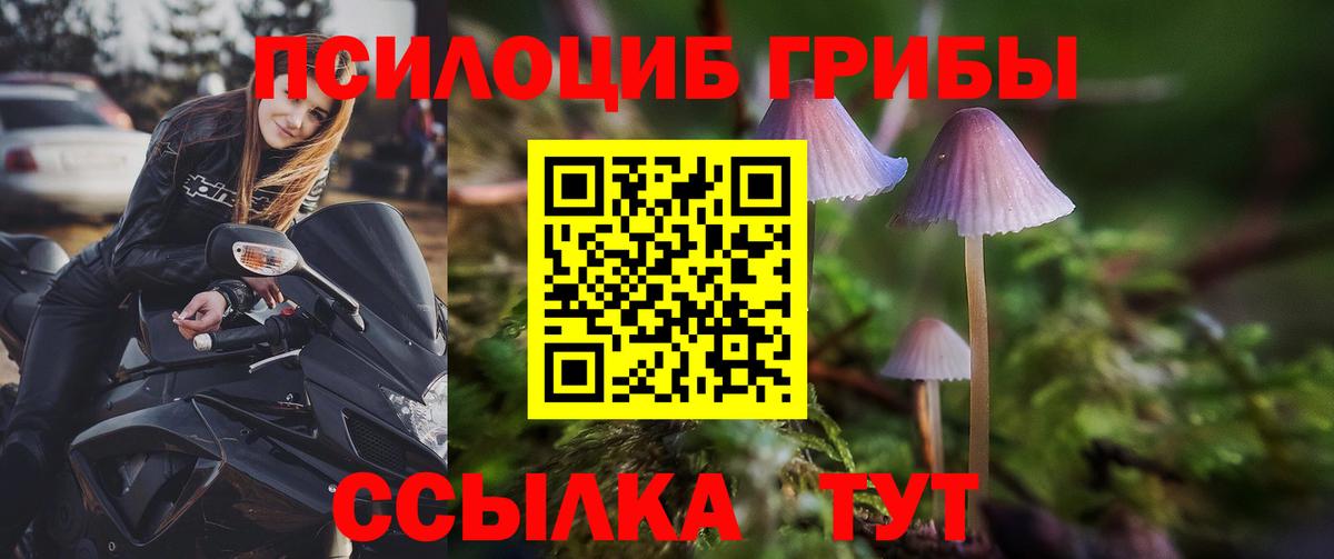 Галлюциногенные грибы Magic Shrooms  Псилоцибиновые грибы MAGIC MUSHROOMS  Вход с VPN  Рославль 