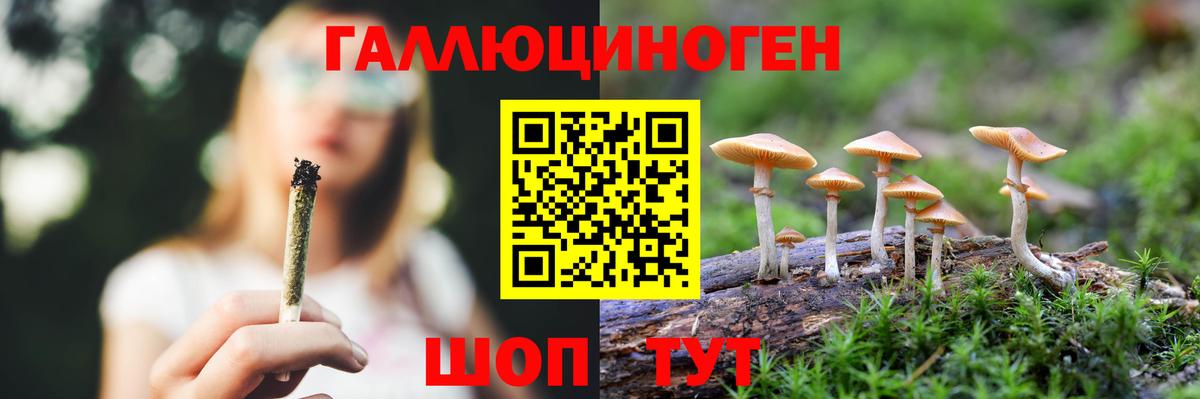Псилоцибиновые грибы мухоморы Рославль